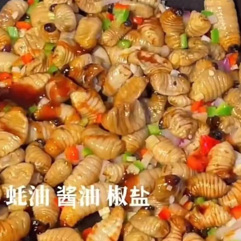 竹蟲鮮活竹蟲油炸活的新鮮椰子蟲竹子蟲椰棕蟲廣東竹蟲食用