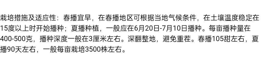 美丰矮大头油葵种子抗倒伏耐贫瘠株高80公分含油率70%