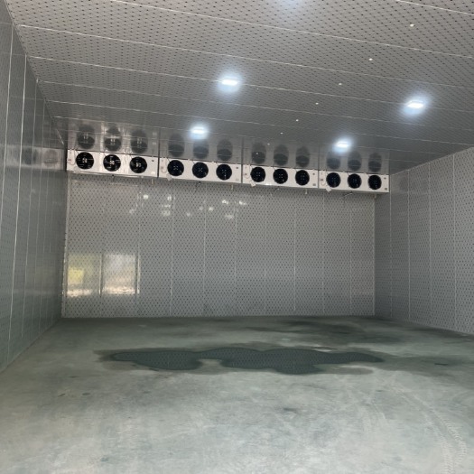 云梦县冷库，冻库出租，地理位置好，价格优惠