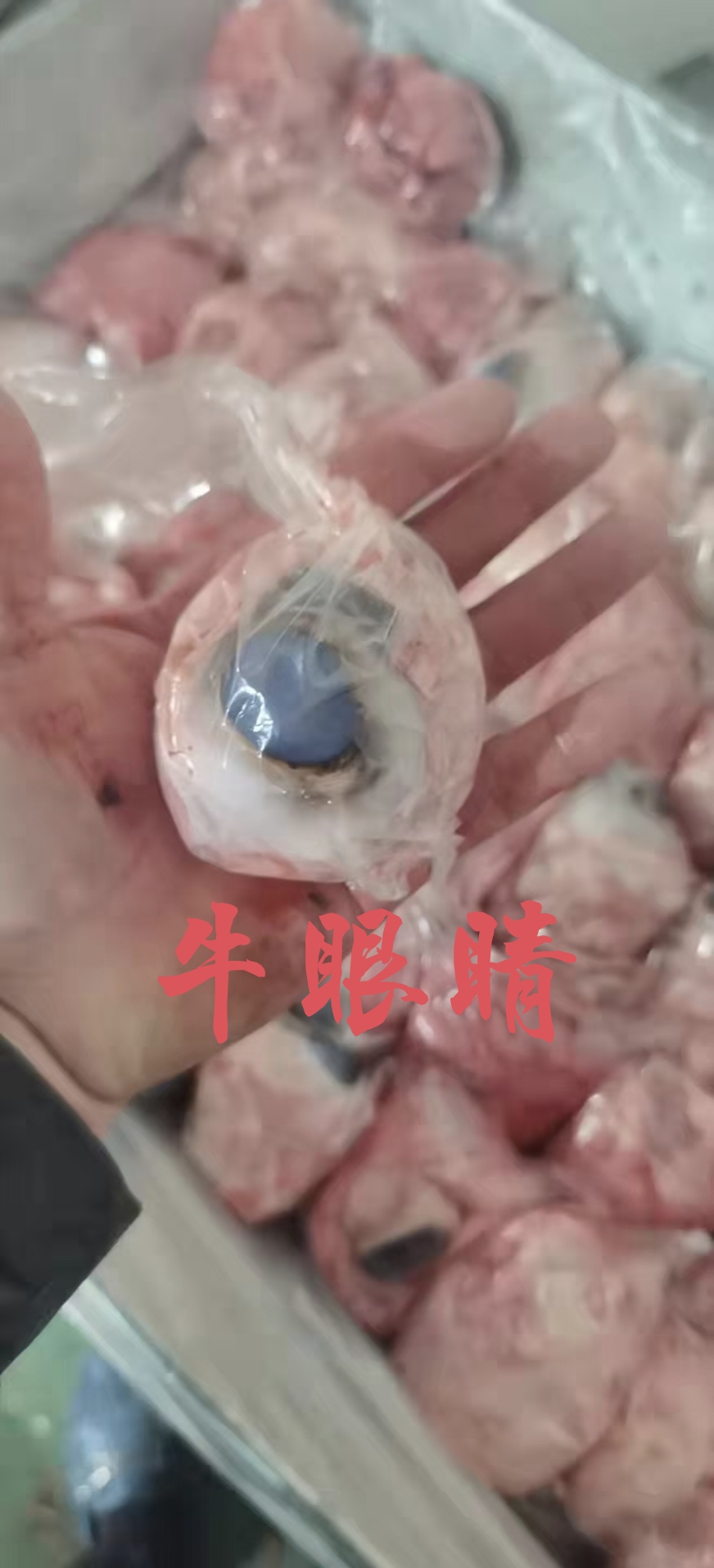 锡林浩特【牛眼睛】当地黄牛的眼肉！新鲜速冻板装！全国物流冷链发货