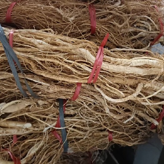 灵山县五指毛桃根（干货）