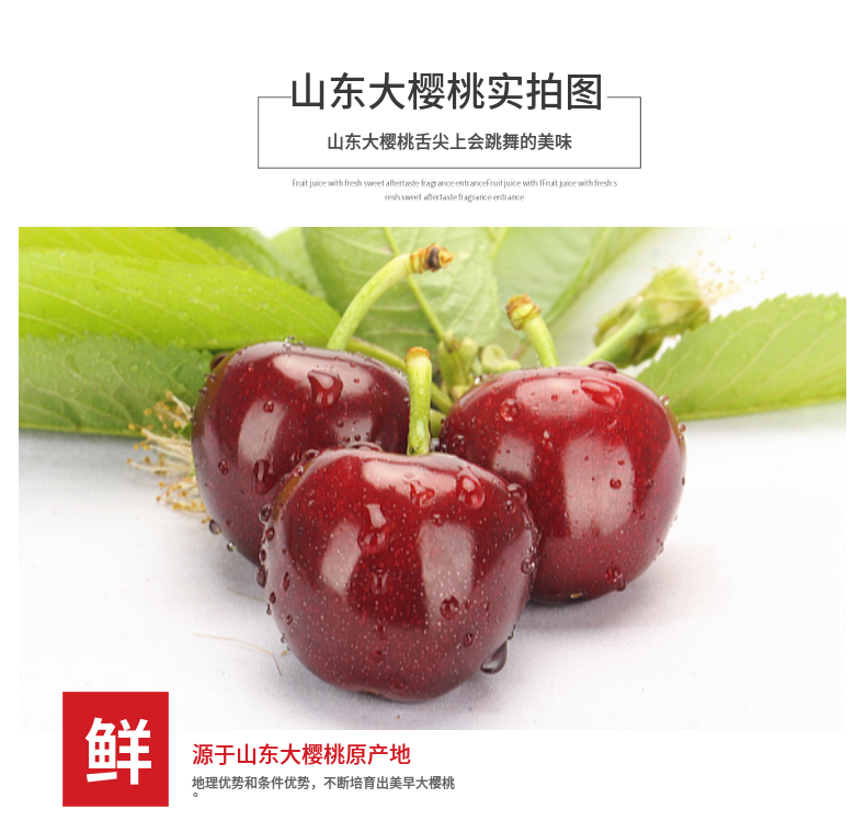 烟台美早大樱桃黑珍珠车厘子现摘新鲜水果3斤净重1400g