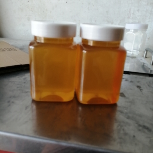 长葛市荔枝蜜鲜蜜蜂农自产口味纯正原蜜不加工24年新蜜批发零售