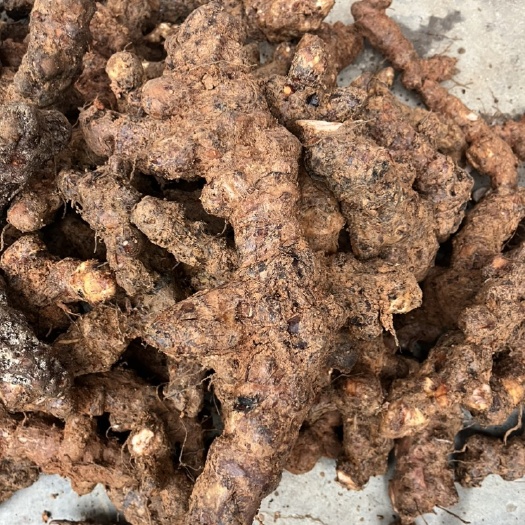 土茯苓，每天都有鲜货大土茯苓，广西贺州本地货白肉粉质，煲