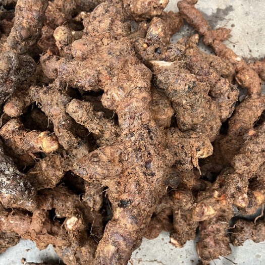 贺州土茯苓，每天都有鲜货大土茯苓，广西贺州本地货白肉粉质，煲