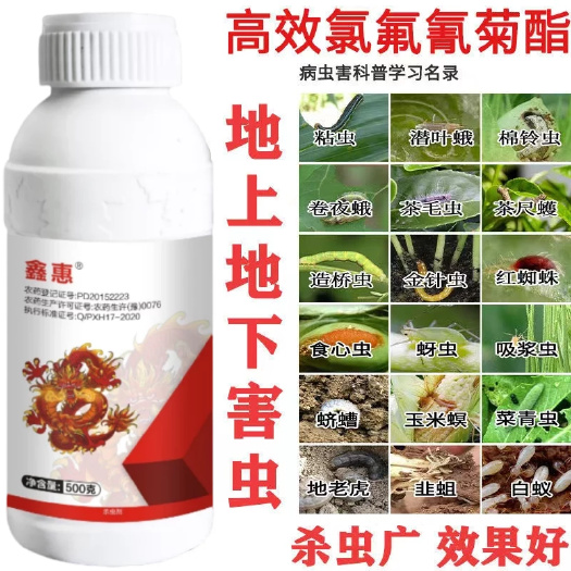 民权县杀虫剂2.5%高效氯氟氰菊酯植物蚜虫青虫红蜘蛛地蛆地老虎农用