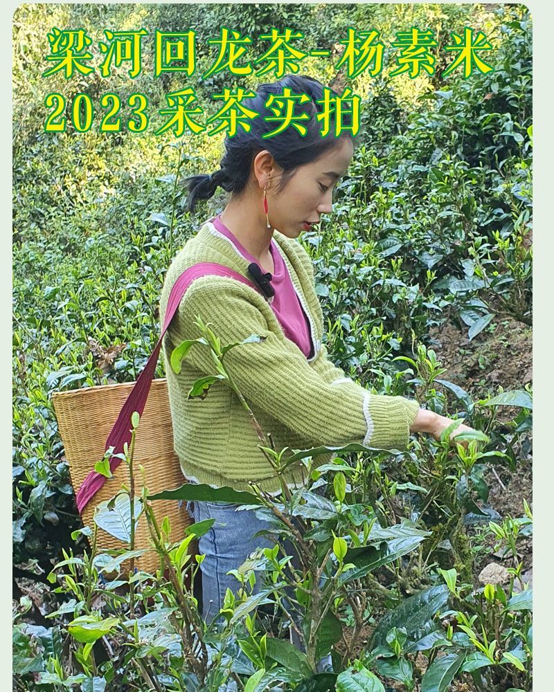 2023괺̲裬ӴزһѿһҶ