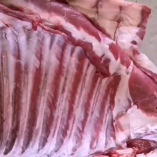 金昌羔羊肉