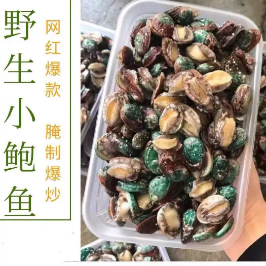 新鲜鲍鱼活冻鲍鱼大鲍鱼新鲜海鲜水产贝类包邮22头-40头批发