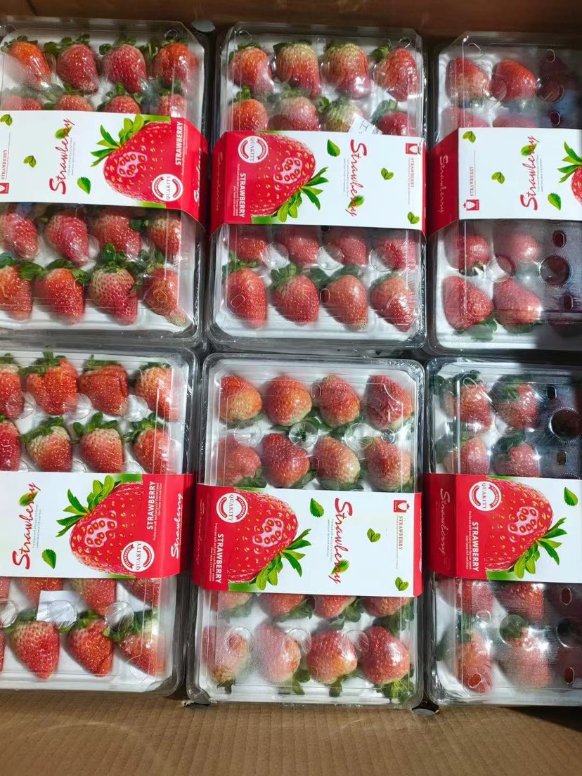 会泽县云南蒙特瑞夏草莓水晶胶盒