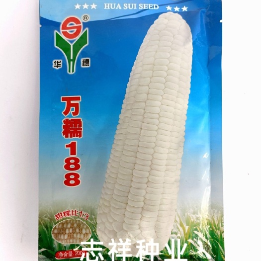 华容县华穗万糯188白甜糯玉米种子杂交香甜糯玉米白糯包谷种鲜食玉米