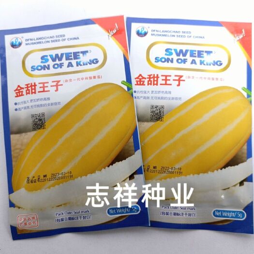 华容县浪潮金甜王子黄皮甜瓜种子极早熟皮薄金黄色长椭圆形香瓜耐热抗病