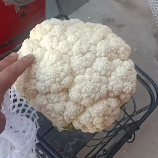 通许县河南通许有机花菜