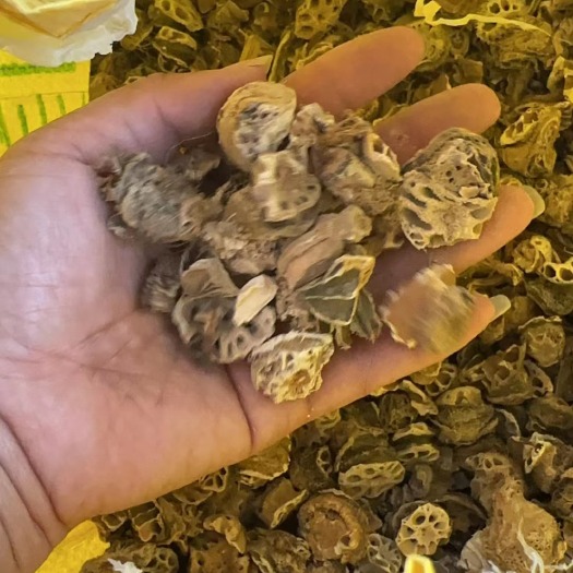 曲阜市藕节，中药，干藕节