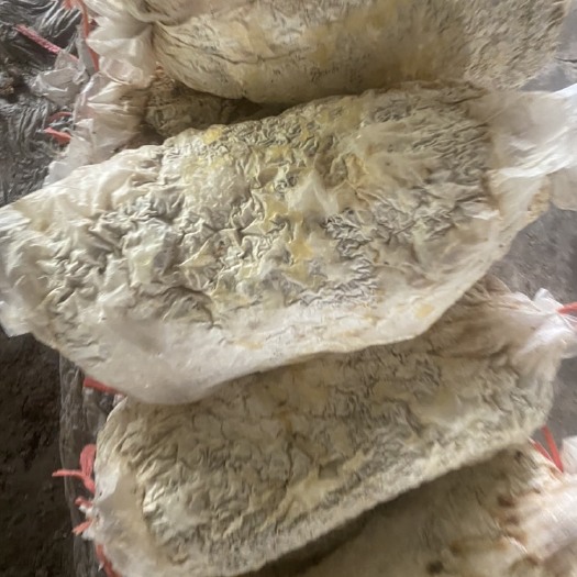 潍坊食用菌菌渣 卖完蘑菇的废的，100元/吨