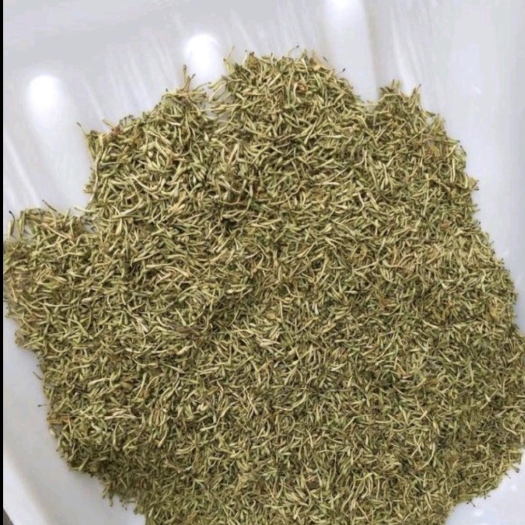 襄樊金银花