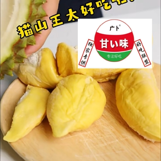 南宁正野猫山王D197（假一赔十）