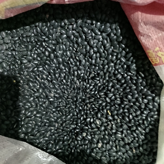 滦南县黑豆