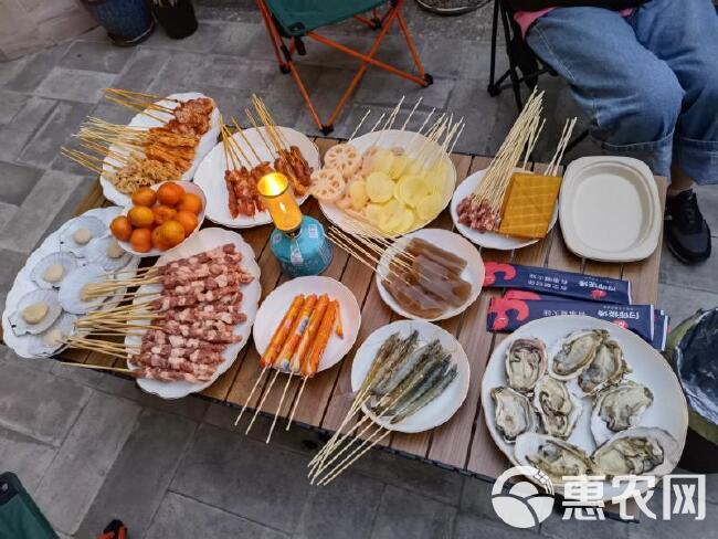 羊肉串大串冷冻运输保鲜 草原羔羊肉带签 夜市烧烤炸串包邮