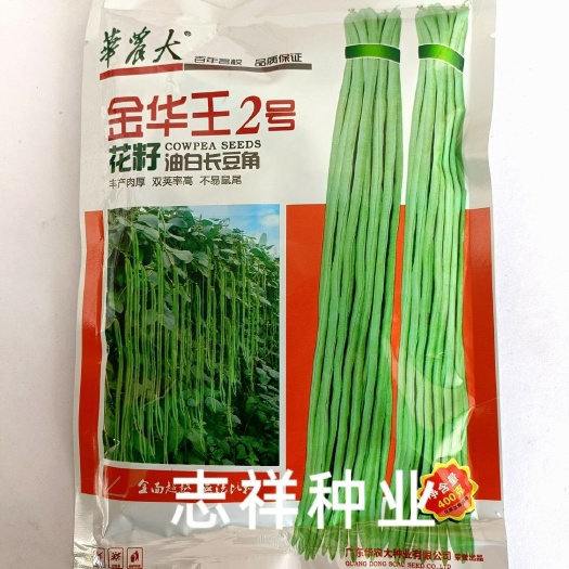 华容县广东华农大金华王2号花籽油白豆角种子丰产肉厚抗病耐热耐寒