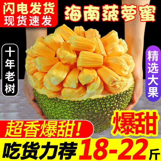 三亚【24小时内发货】菠萝蜜一整个新鲜批发菠萝蜜