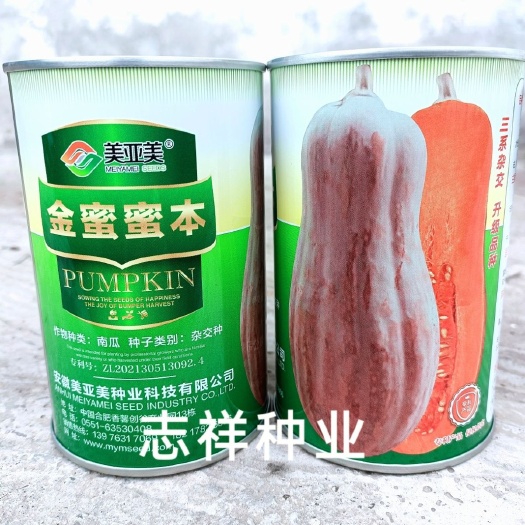 华容县美亚美金蜜蜜本南瓜种子三交种罐装中熟瓜形靓肉厚味甜大田种