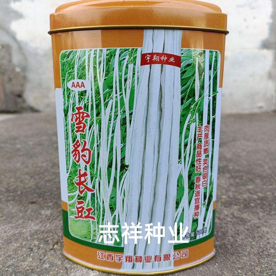 华容县宇翔雪豹长豇豆种子银白色豇豆肉厚质嫩抗病高产白豆角种孑