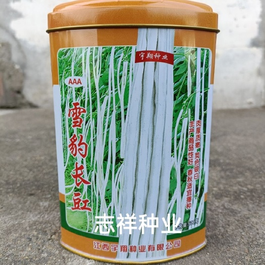 华容县宇翔雪豹长豇豆种子银白色豇豆肉厚质嫩白豆角种孑