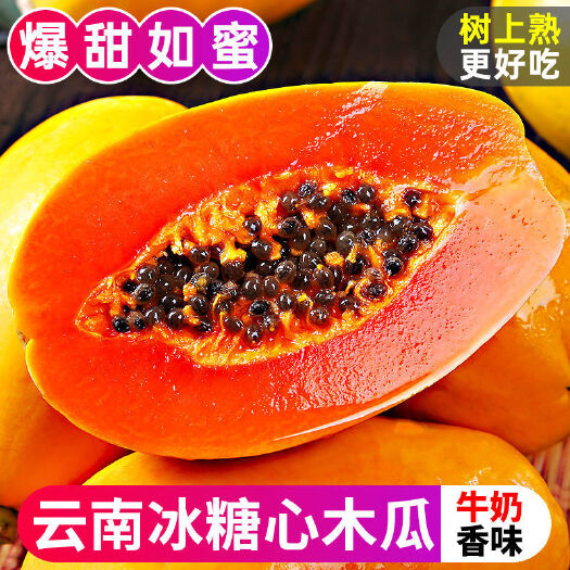 海口【24小时内发货】 新鲜红心木瓜10斤装当季热带水果