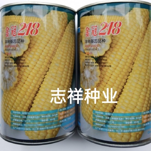 华容县金冠218玉米种子 可生吃的玉米种籽非转基因水果玉米