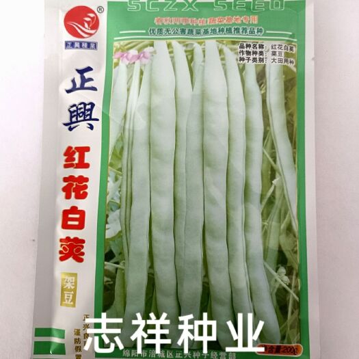 红花白荚四季豆种子有架四季豆种子菜豆芸豆早熟易种春秋播