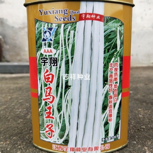 华容县宇翔白马王子白色豇豆长豆角种子 肉厚质嫩荚长春秋种植蔬菜