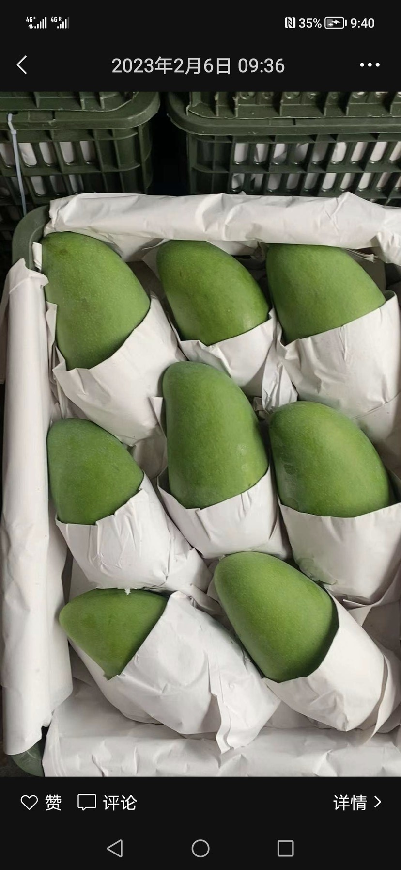 凭祥市越南大青芒。澳芒。高乐蜜