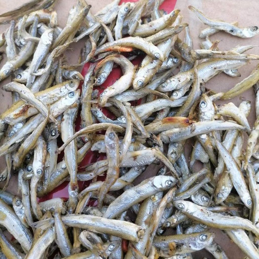 益阳柴火鱼