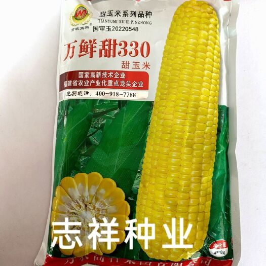 万农万鲜甜330甜玉米种子国审鲜食黄色甜玉米水果玉米种籽矮杆