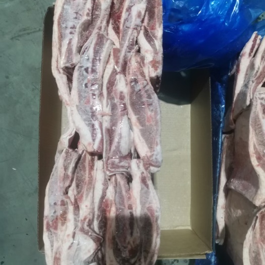 天津90羔羊肩肉