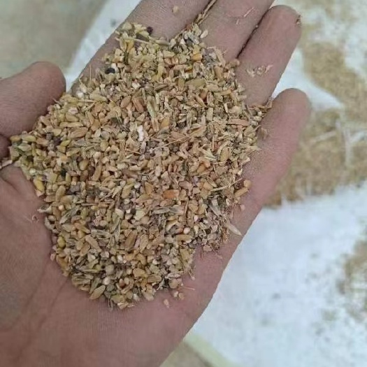 寻乌县玉米毛糠 小麦毛糠 禽类饲料 下脚料 次粉 油渣 饼粕原料