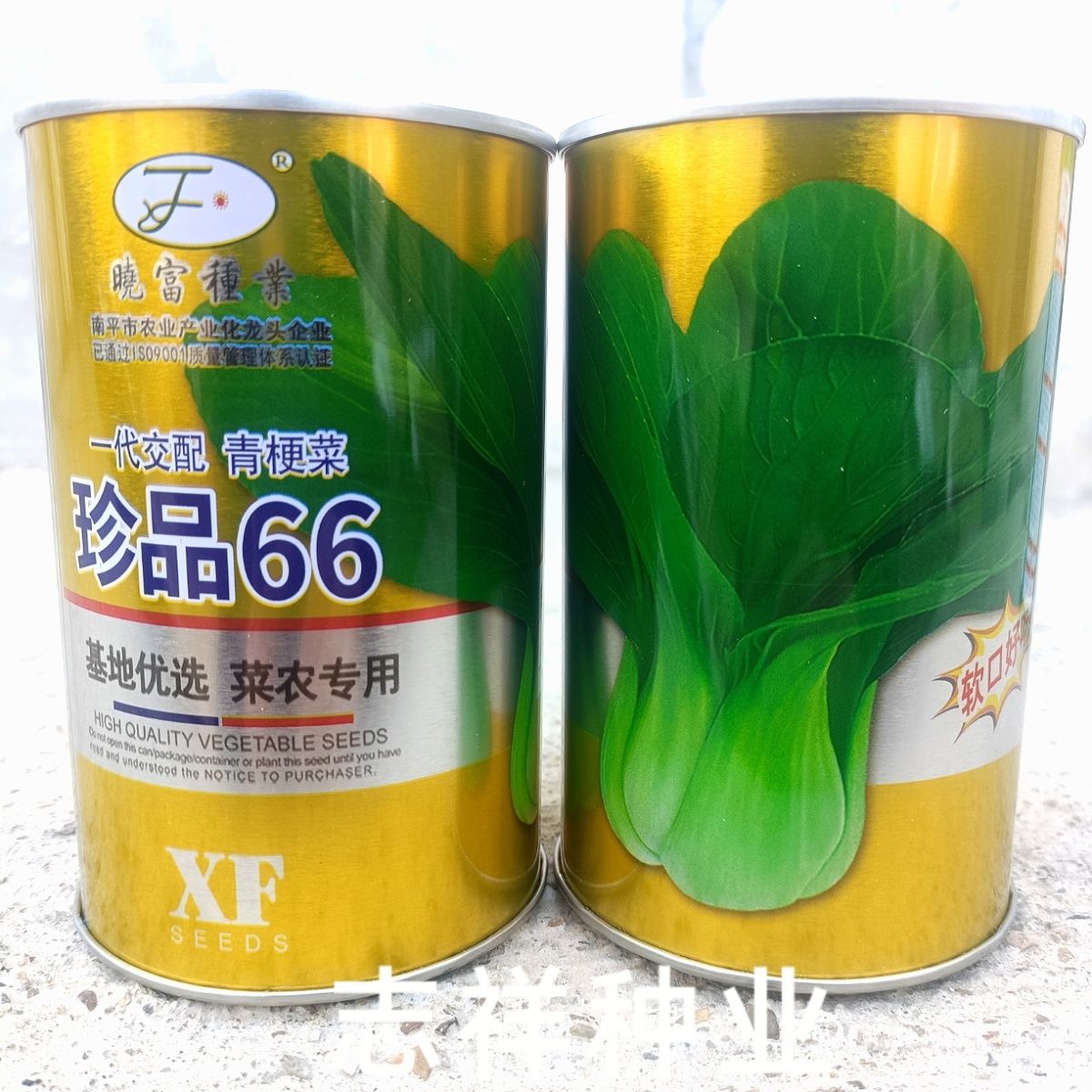 菜农基地专用晓富珍品66青梗菜种子耐热耐雨水强不易拔节软口好