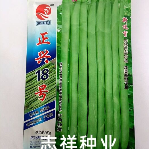 四川正兴18号红花绿荚四季豆种子有架四季豆菜豆芸豆籽中熟春秋