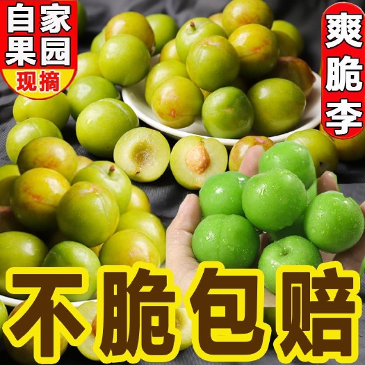 漳浦县福建三月李酸爽青脆李子现货新鲜包邮产地直发一件代发供应链