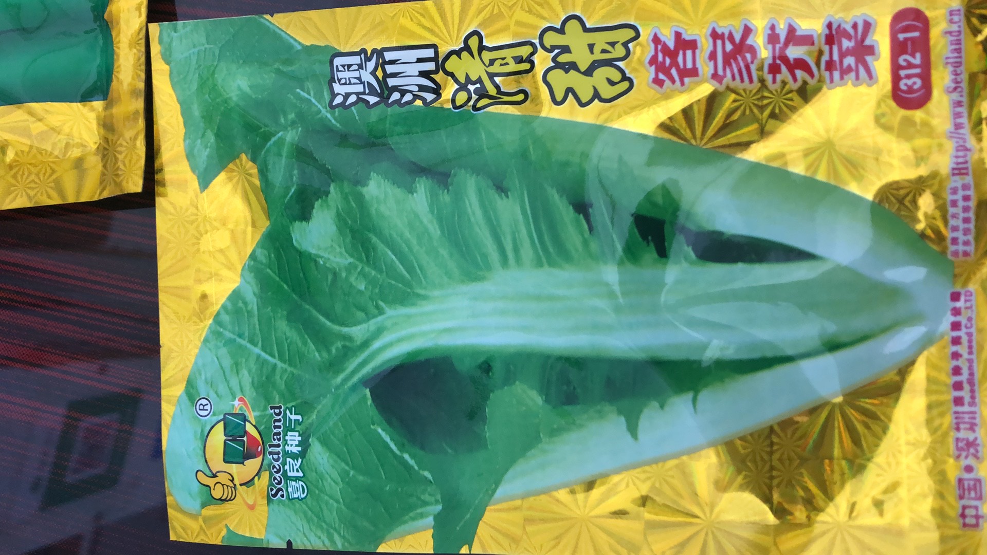 兴义市澳洲清甜客家芥菜种子