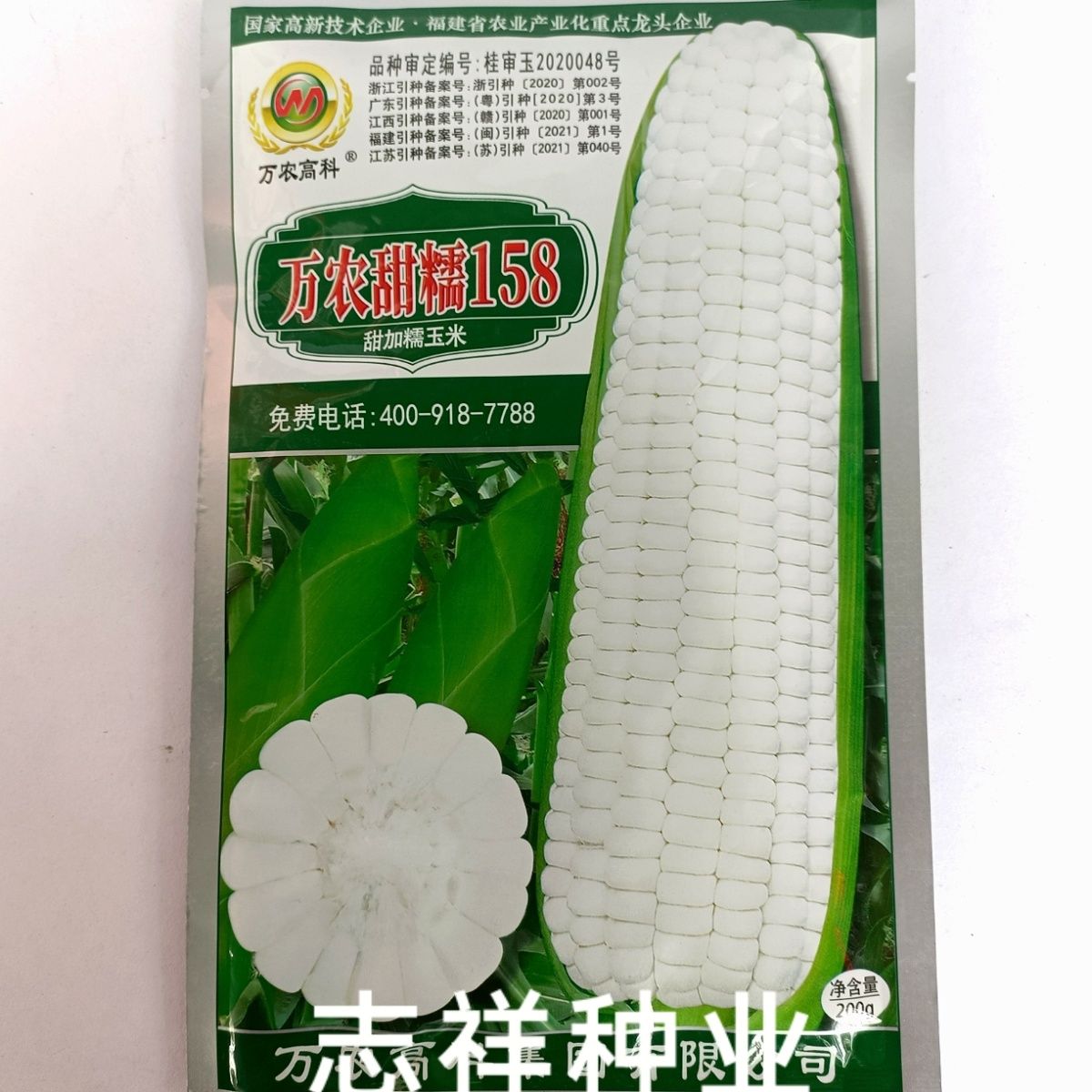 华容县万农甜糯158白甜糯玉米种籽高产春播早熟矮杆甜加糯白粘玉米种