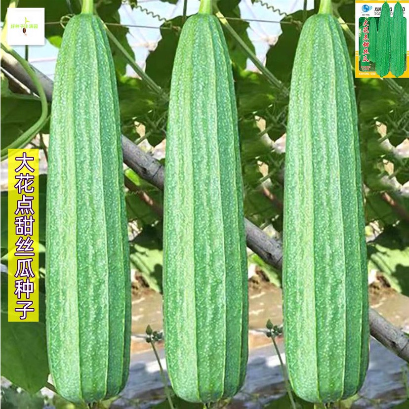 ش󻨵˿ȴ󻨵˿Ѵ＾ֲ߲