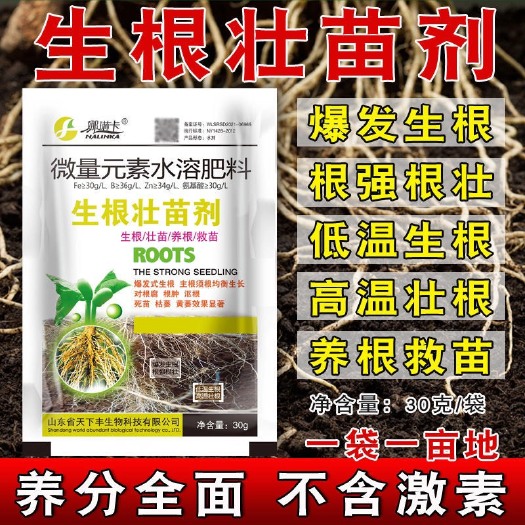 郑州生根壮苗剂