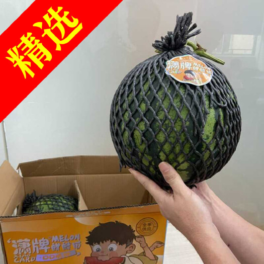 广州云南麒麟瓜西瓜头茬西瓜口感酥脆甜度高个圆，全年供应链，可开票