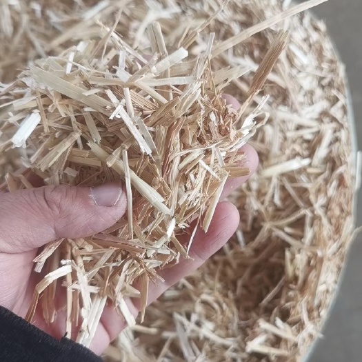 枣庄小麦秸秆
