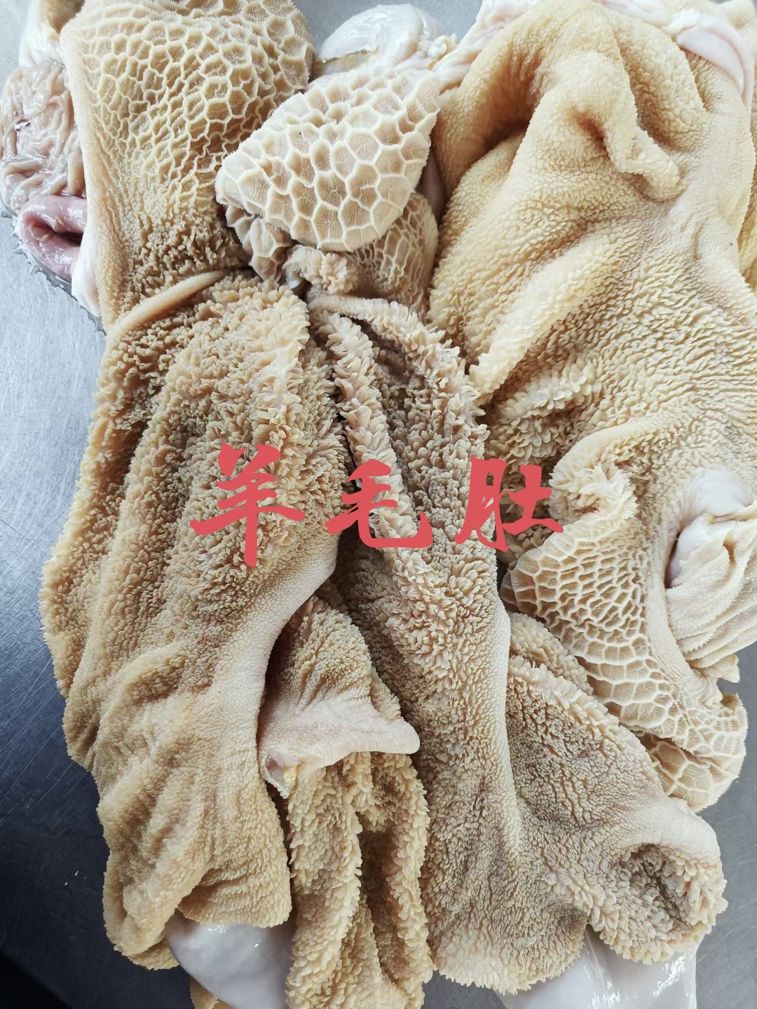 锡林浩特【羊毛肚】绵羊免洗毛肚，生的五斤卷装无碱、干净！全国发货！