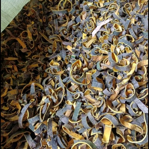 成都黄柏
