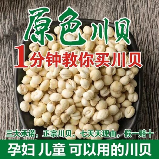 利辛县川贝粒川贝母川贝 川贝雪梨膏川贝母粉非松贝母特级