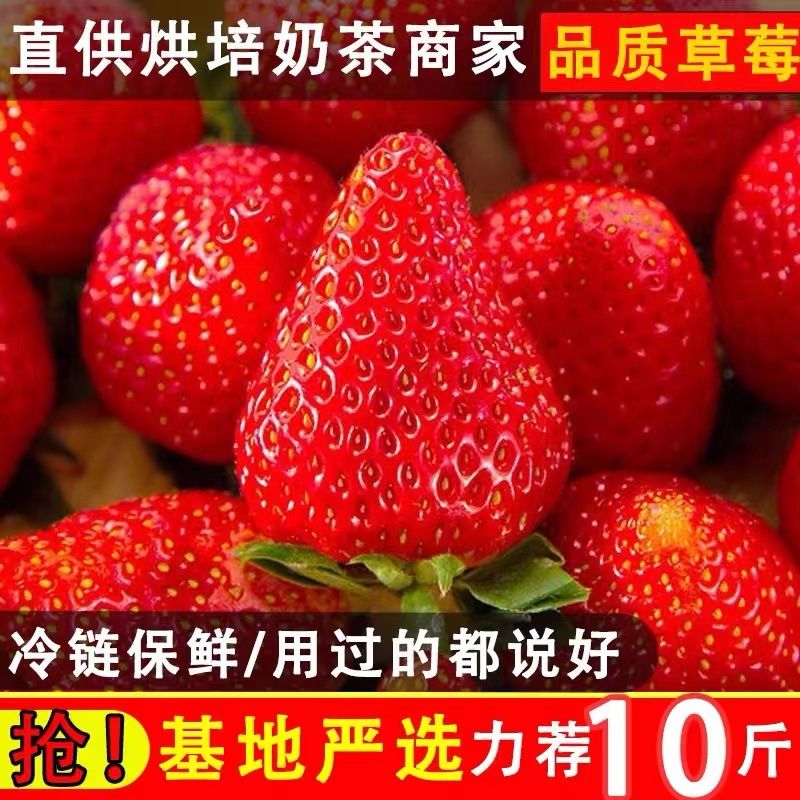 广元【别找了，同行都在我这拿货】草莓新鲜红颜草莓奶十足高档大果